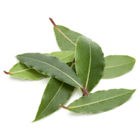 Bay Leaves